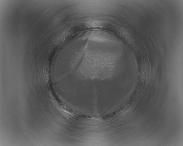 X0000054410402200508121730