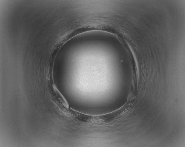 X0000054410403200508121730