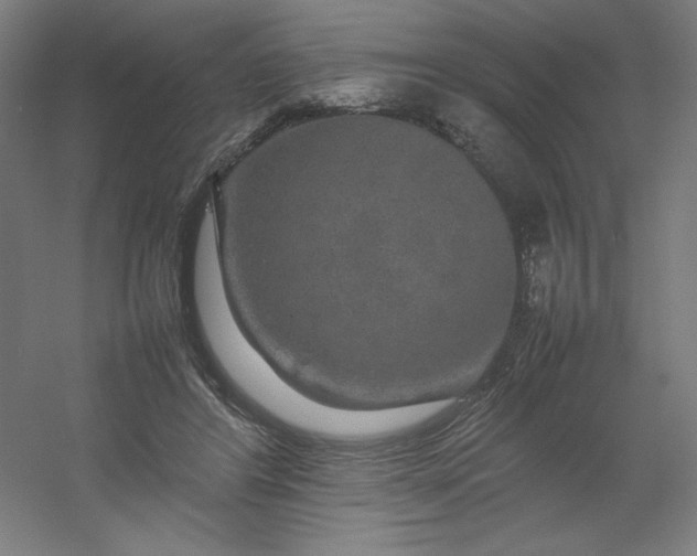 X0000054410404200508121730