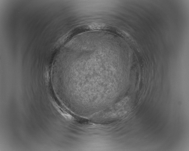 X0000054410405200508121730