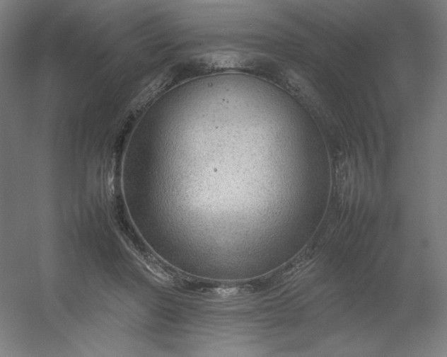 X0000054410406200508121730