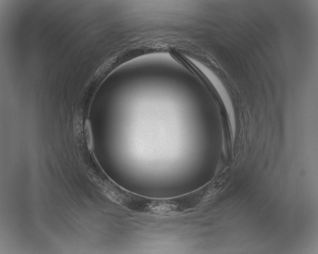 X0000054410407200508121730