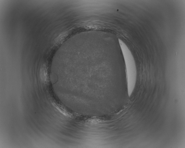 X0000054410408200508121730