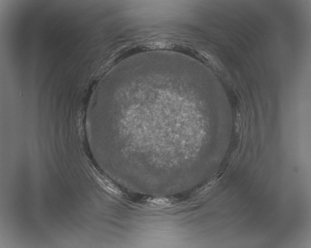 X0000054410409200508121730