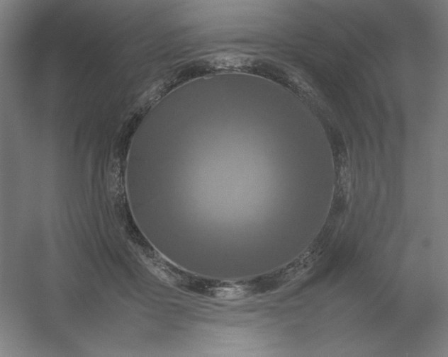 X0000054410411200508121730