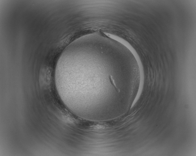 X0000054410412200508121730