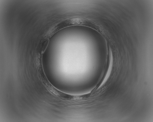 X0000054410413200508121730