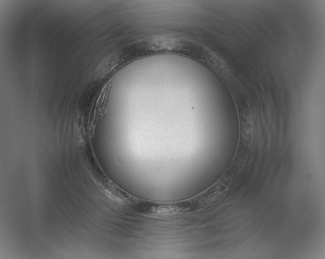 X0000054410414200508121730