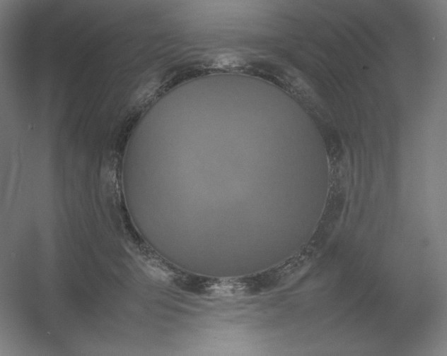 X0000054410415200508121730