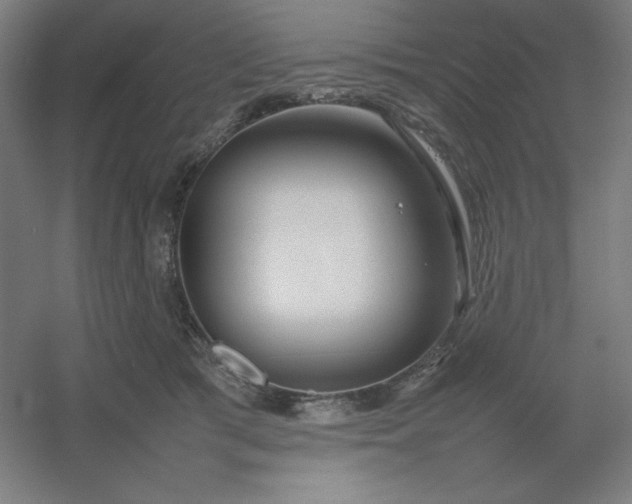 X0000054410417200508121730