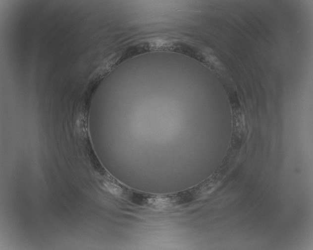 X0000054410419200508121730