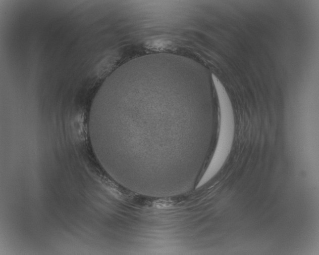 X0000054410420200508121730