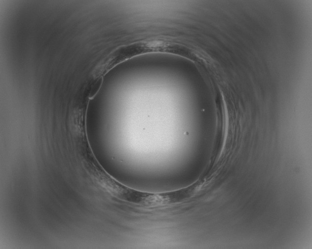 X0000054410421200508121730