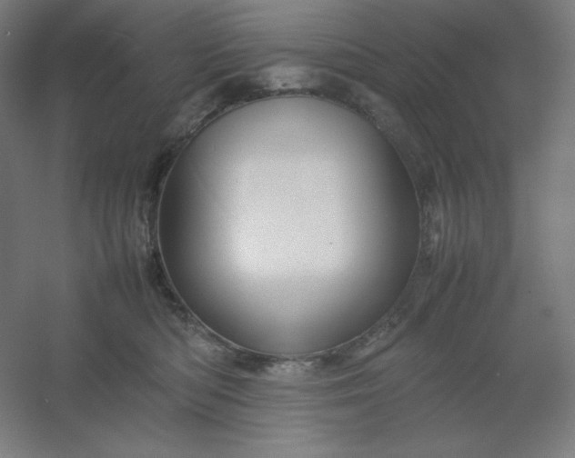 X0000054410422200508121730