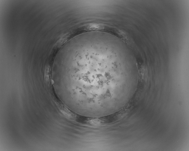 X0000054410423200508121730