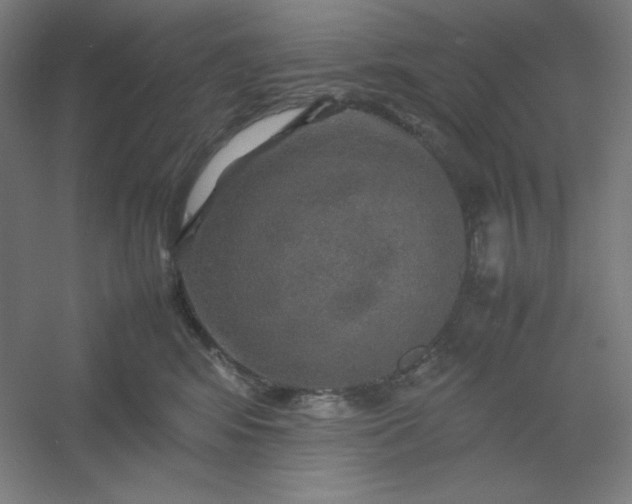 X0000054410424200508121730