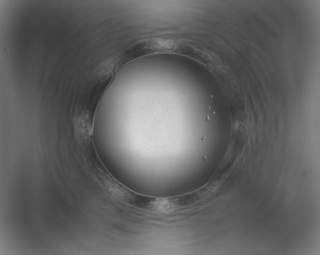 X0000054410425200508121730