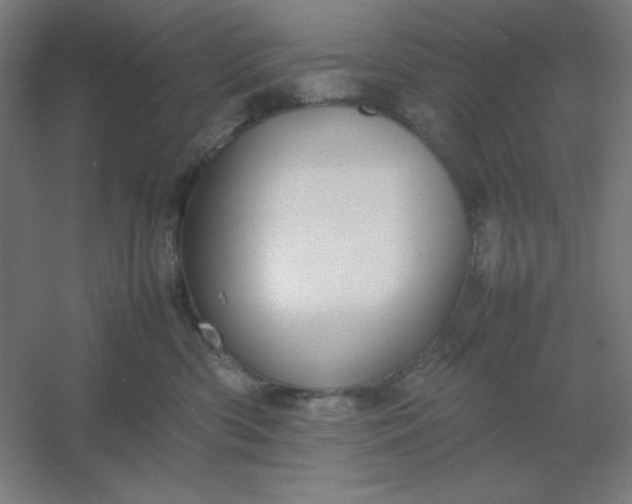 X0000054410426200508121730