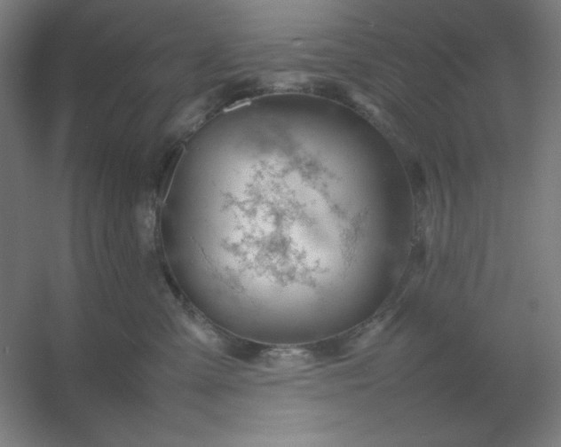 X0000054410427200508121730