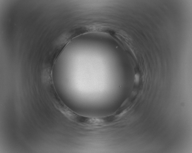 X0000054410429200508121730