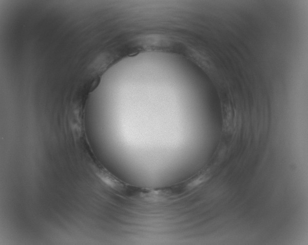 X0000054410430200508121730