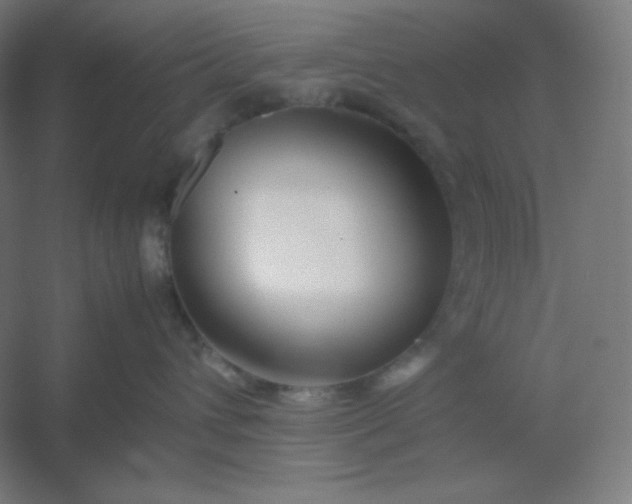 X0000054410432200508121730