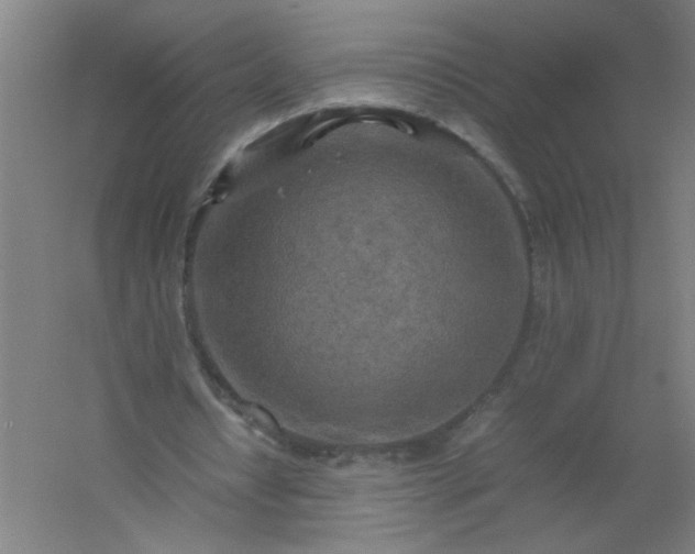 X0000054410434200508121729