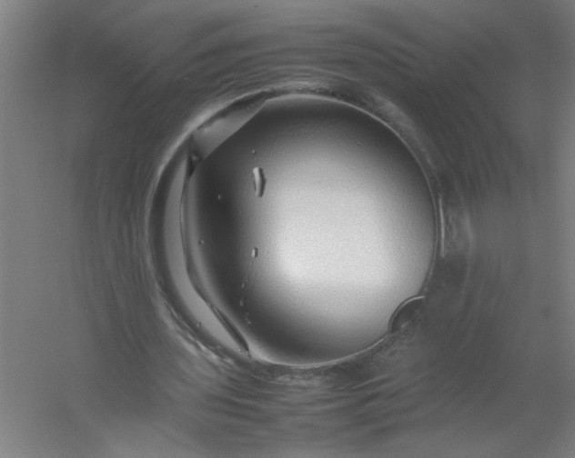 X0000054410435200508121729