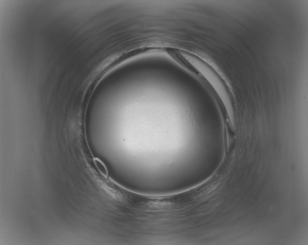 X0000054410437200508121729