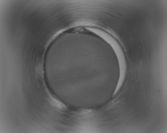 X0000054410438200508121729