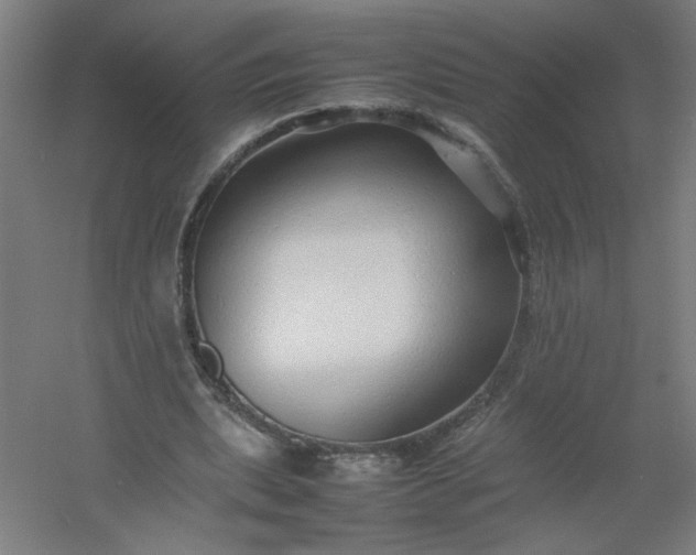 X0000054410439200508121729