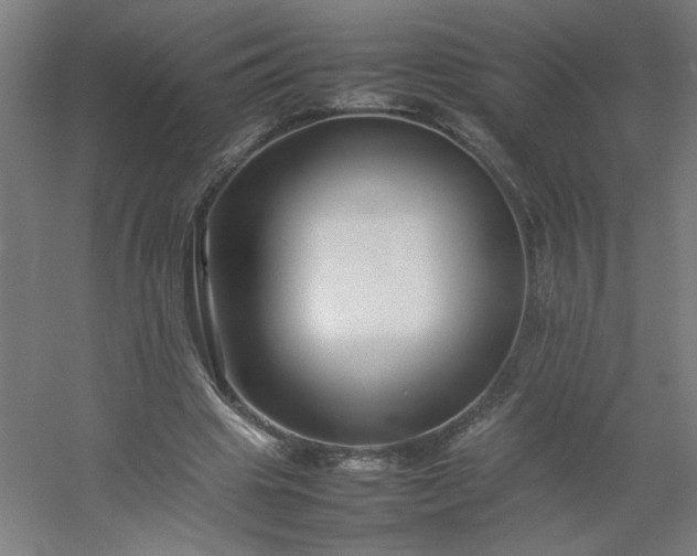 X0000054410441200508121729