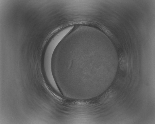 X0000054410442200508121729