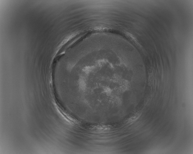 X0000054410443200508121729