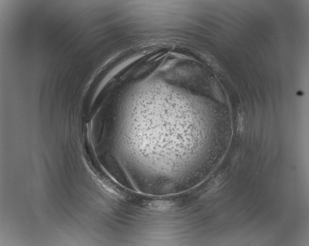 X0000054410444200508121729