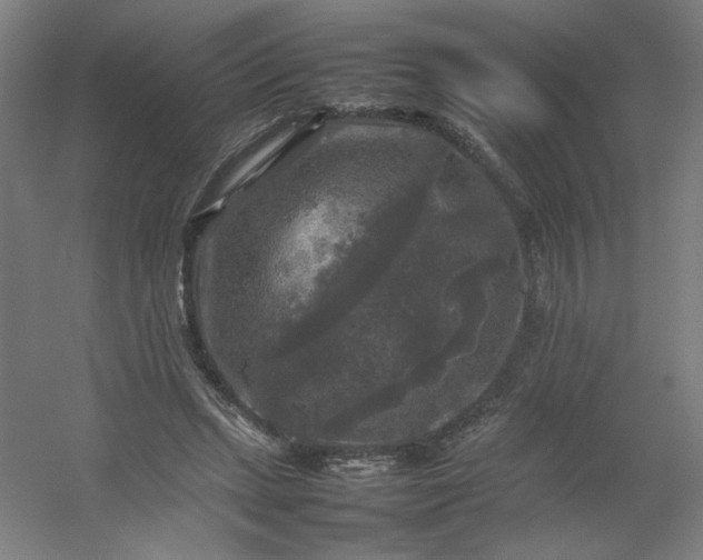 X0000054410447200508121729