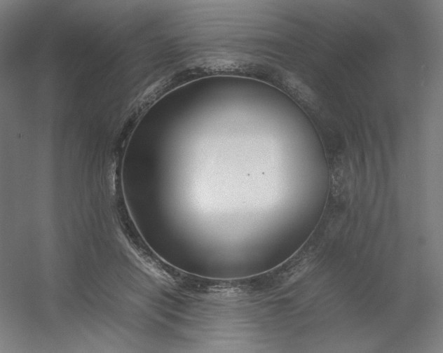 X0000054410454200508121729