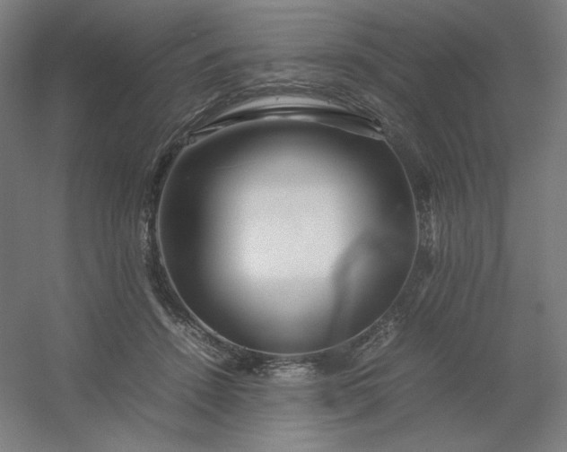 X0000054410456200508121729