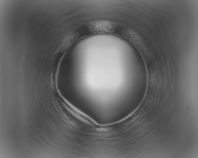 X0000054410457200508121729