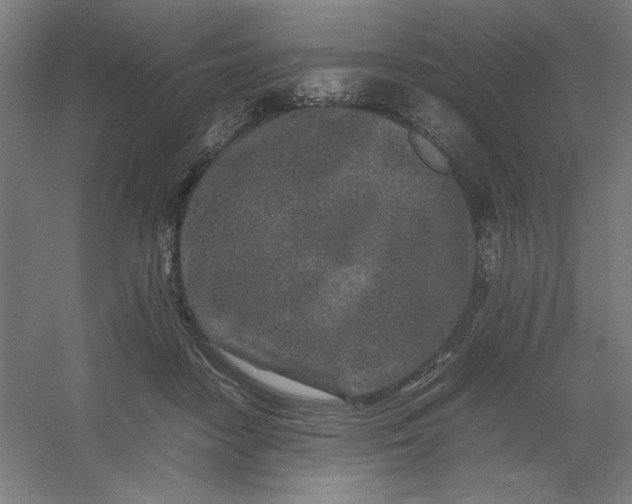 X0000054410458200508121730