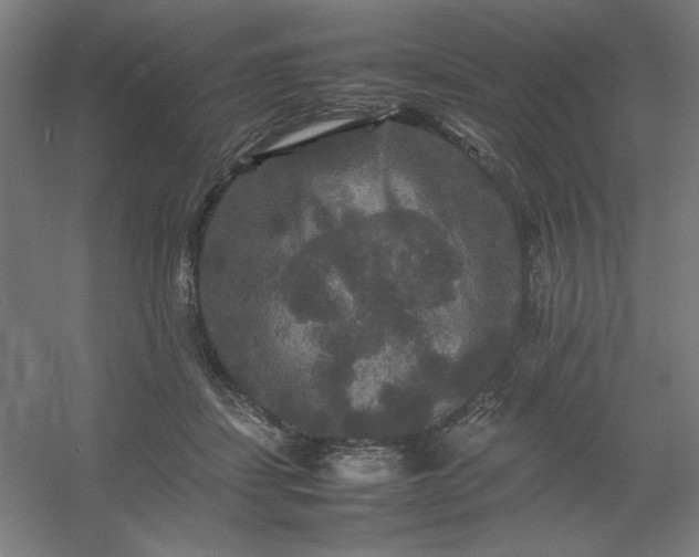 X0000054410459200508121730