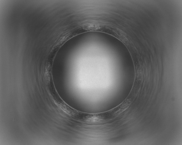 X0000054410460200508121730