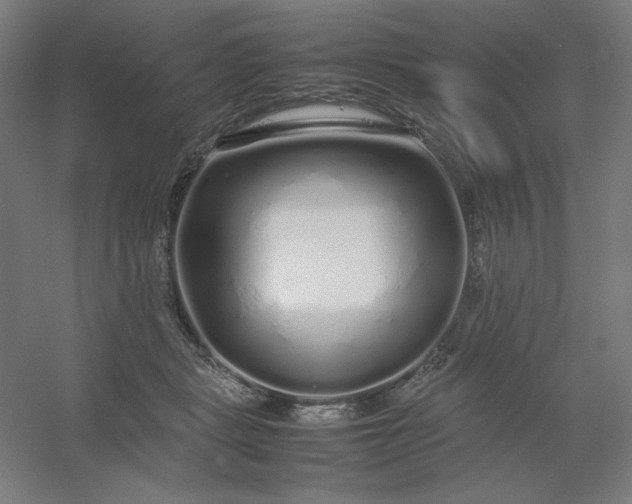 X0000054410461200508121730