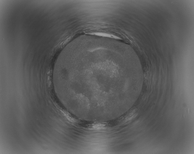 X0000054410462200508121730