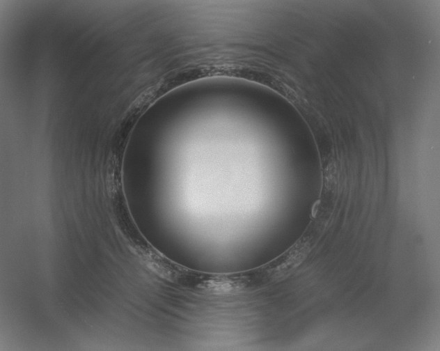 X0000054410464200508121730