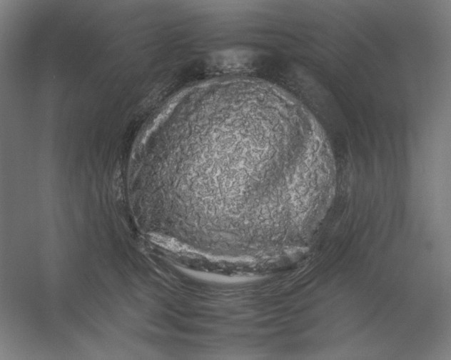 X0000054410465200508121730