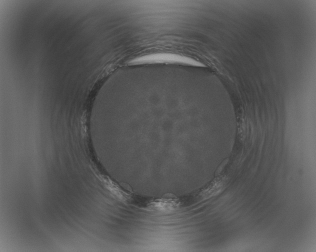 X0000054410466200508121730