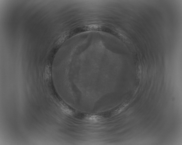 X0000054410467200508121730