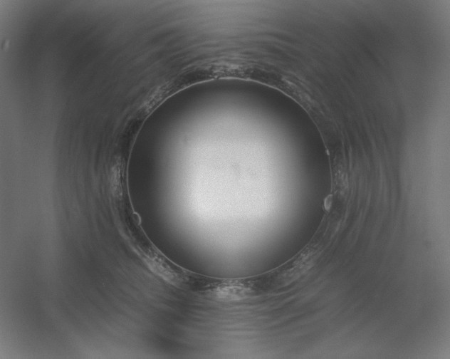 X0000054410468200508121730