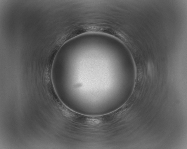 X0000054410469200508121730